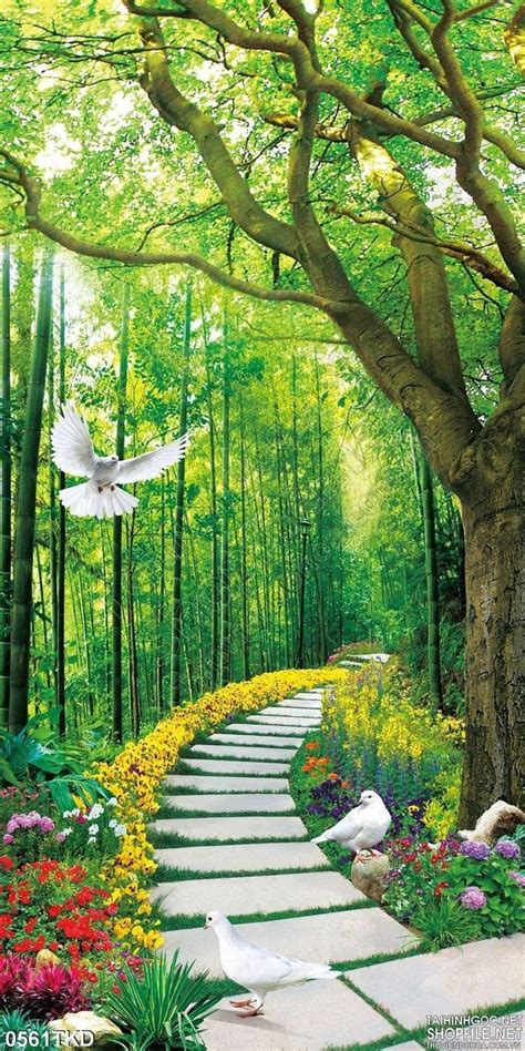 high resolution natural studio background hd freepsdking  artofit