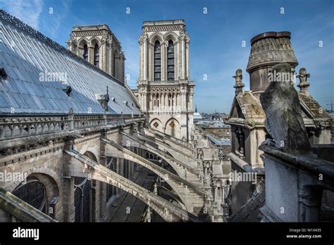 Paris France Notre Dame Cathedral Roof Of The Nave And The Two