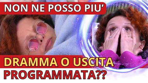 GRANDE FRATELLO IL DRAMMA EMOTIVO DI BEATRICE LUZZI YouTube