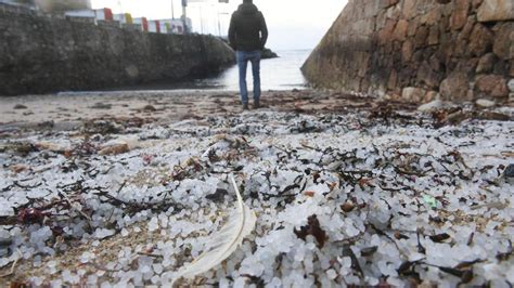 Vertido De Pellets Se Extiende Por A Coru A Y Comarca El Vertido De