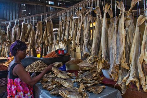 Nigerias Undying Love For Stockfish Chomskyweb