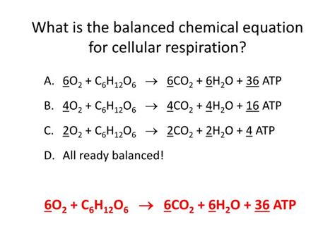 Balanced Chemical Equation For Cell Respiration - Tessshebaylo