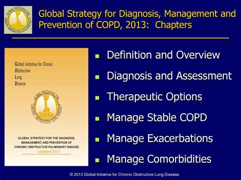 © Global Initiative For Chronic Obstructive Lung Disease Ppt Download