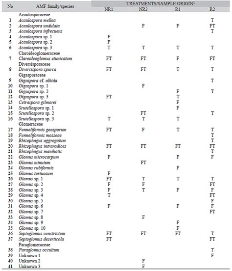 Morphotype Based Characterization Of Arbuscular Mycorrhizal Fungal