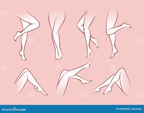 Piernas De La Mujer Del Vector Ilustraci N Del Vector Ilustraci N De