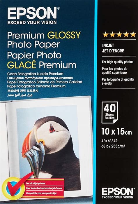 Papier Fotograficzny Epson Premium Glossy Photo 80 Szt 255 Gm²