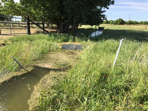 Irrigation Part 2 — Meridian Jacobs