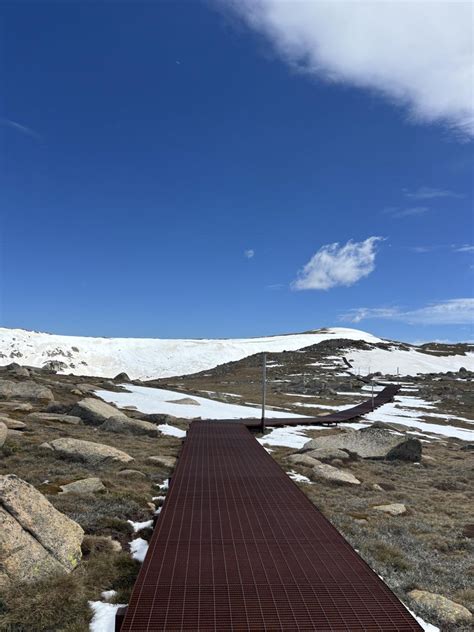 『オーストラリア最高峰、マウントコジオスコ登頂最短コース、往復13km + リフト』その他の観光地(オーストラリア)の旅行記・ブログ by ...