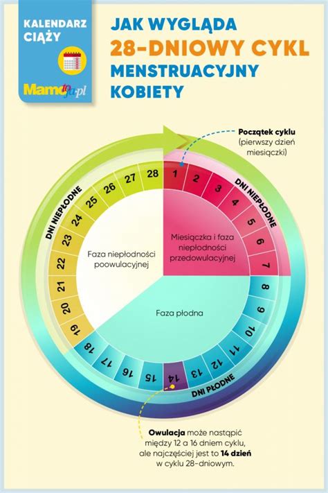 Obliczanie Dni Plodnych Dni Plodne I Nieplodne Jak Obliczyc Objawy