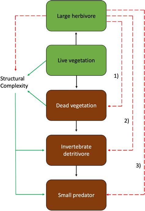 Herbivores Impacts Cascade Through The Brown Food Web In A Dryland