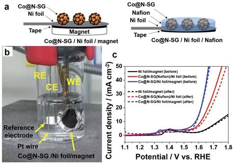 Magnet Assisted Binder Free Electrode Setup For Water Electrocatalysis