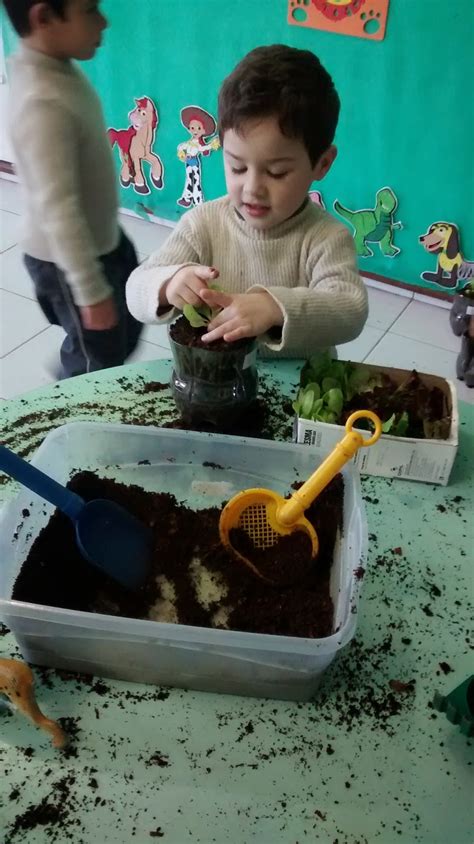 Escola Municipal De Educa O Infantil Rainha Do Mar Planta O De