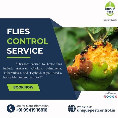 HOUSEFLY CONTROL SERVICES | Fly control, Pest control services, Pest ...