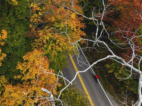 Fall Colors in Burlington VT | Fall Foliage, Maps, Routes, Vermont