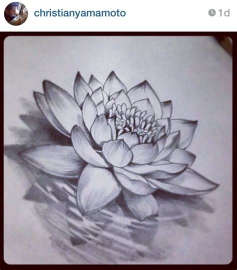 Lotus Flower Pencil Drawing