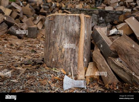 Wood Splitting Axe Firewood Beech Wood Stock Photo Alamy