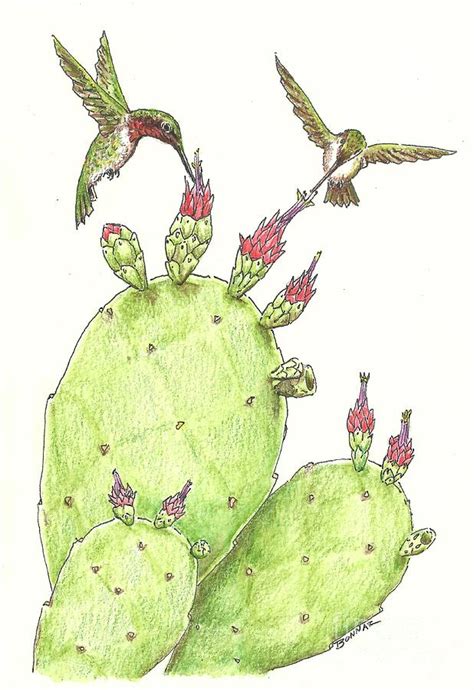 Nopal Drawing At Explore Collection Of Nopal Drawing