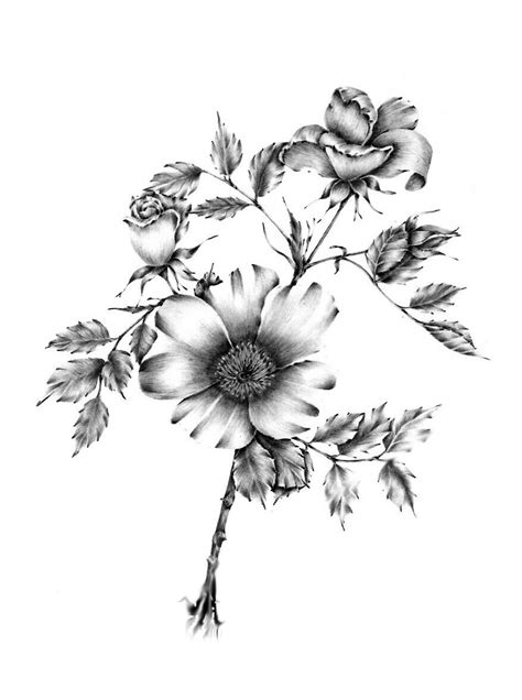 Flowers Pencil Drawing at GetDrawings | Free download