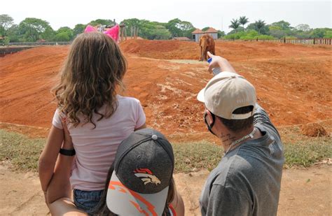 Confira O Que Abre E Fecha No Feriadão Do Dia De Finados Jornal De