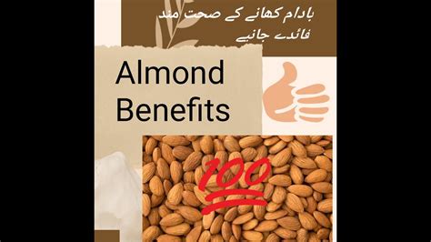 Badam Ke Fayde Almonds Benefits Bheege Badam Khane K Fayde Youtube