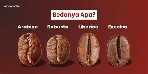 mengenal ciri ciri kopi arabika   membuatnya istimewa empo