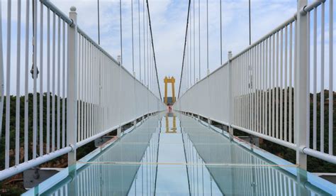 Rajgir Glass Bridge: Location, Time, Entry Fees in 2024