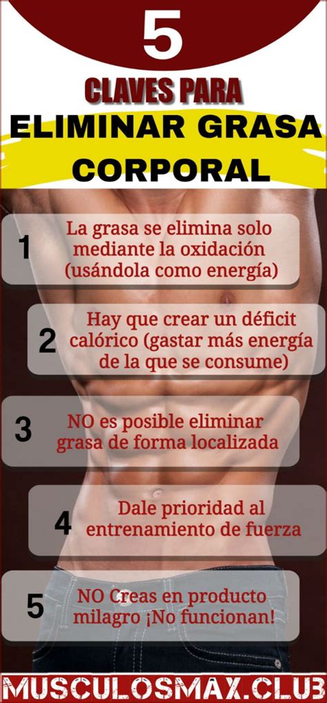 C Mo Eliminar Grasa Corporal R Pido Y Naturalmente Est S Son Las