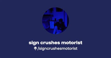 sign crushes motorist | Instagram, TikTok | Linktree