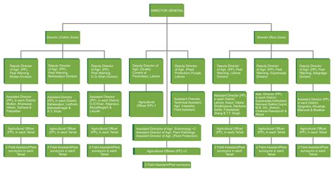 Organogram Pest Warning And Quality Control Pesticides