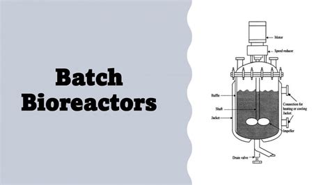 Batch Bioreactor Pptc 6460309 Pharmaceutical Biotechnology Aimst