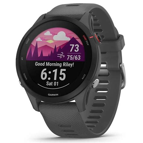 Garmin Montre Forerunner Basic Gris Bikeinn