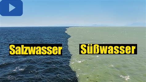 Süßwasser trifft auf Salzwasser Warum gibt es Grenze YouTube