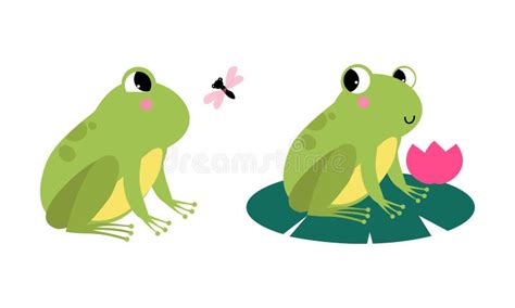 Cute Frogs Cartoon Illustration Set Stock Vector Illustration Of