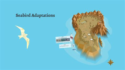 Seabird Adaptations by Erin Patel on Prezi