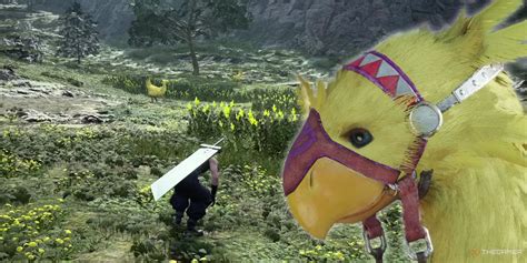 Can You Pet The Chocobos In Final Fantasy 7 Rebirth