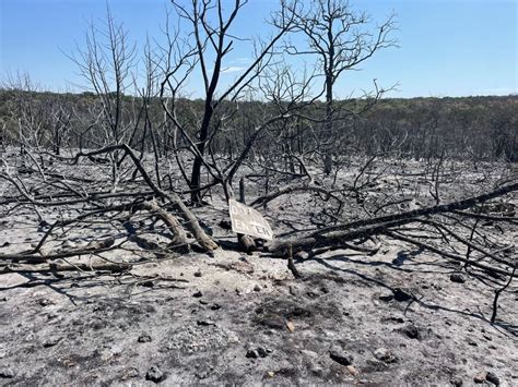 MAP: More than 4,000 acres burned in Central Texas wildfires in 2023 ...