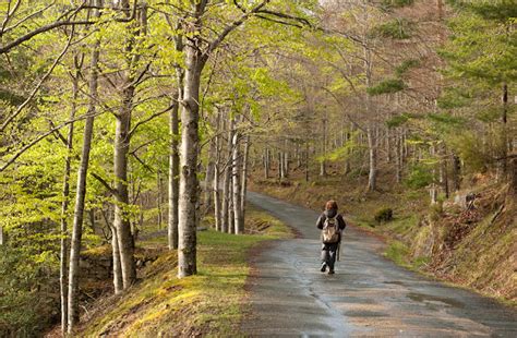 Instantes fotos de Sebastián Navarrete Paisajes otoñales 22 destinos