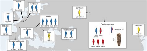 Location of Neanderthals, Denisovans and ancient modern humans dated to ...