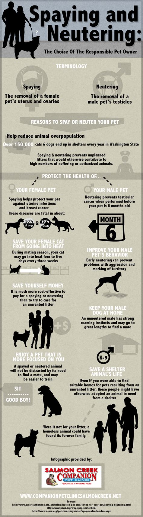 Does Neutering Dogs Reduce Aggression at Anitra Bourne blog
