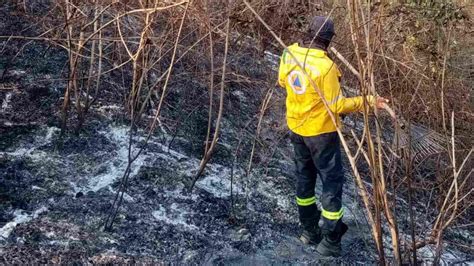 Reportan Avance En Sofocación Del 75 En Incendios Forestales De