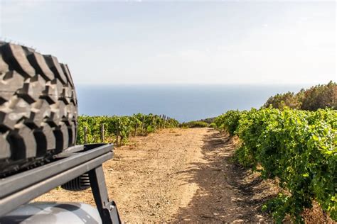 Isola D Elba A Settembre Esperienze Nella Tenuta Delle Ripalte