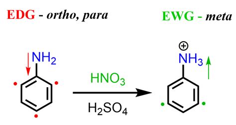 reactions  aniline chemistry steps