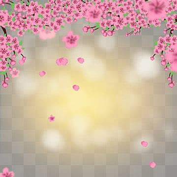 Cherry Blossom Petals PNG Transparent Spring Light Effect Pink Cherry