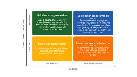 Emotionele Intelligentie In Verandering Forsa Advies