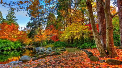 秋の色 紅葉 秋の日差し 秋の風景 パス 池 木 秋 カラフルな自然 カラフルな公園 Hdデスクトップの壁紙