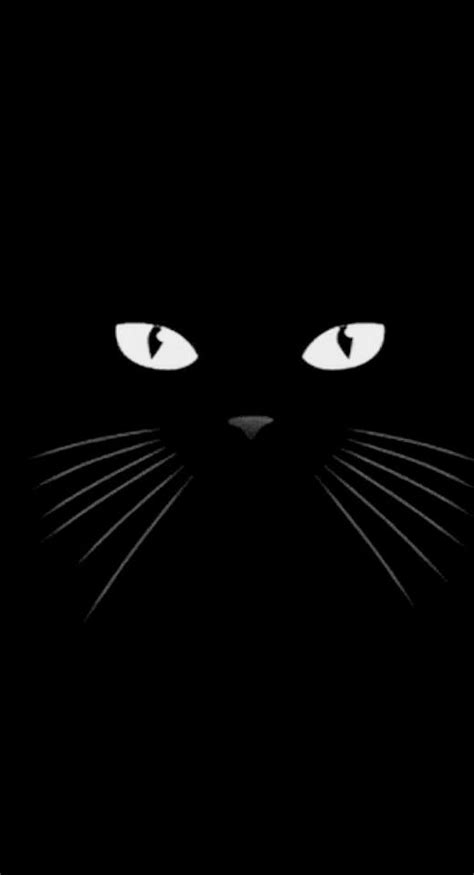 A Black Cat S Face With Glowing Eyes In The Dark Looking Straight Ahead