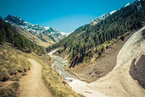 Hiking in Swiss National Park Near Zernez in Summer Stock Photo - Image ...