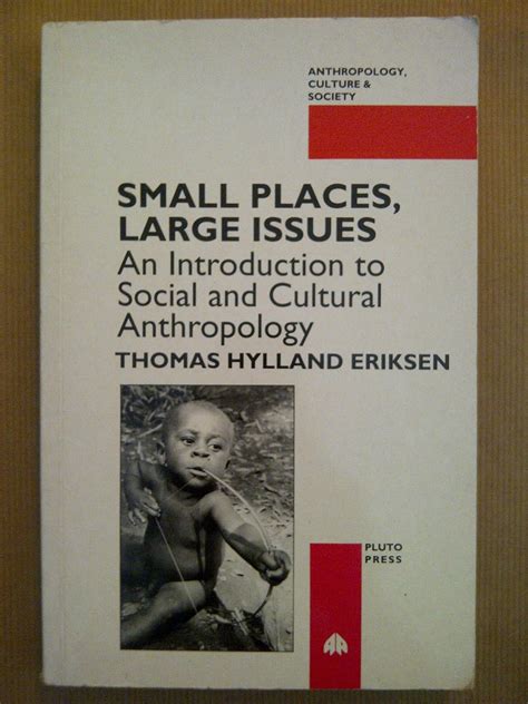 Small Places Large Issues An Introduction To Social And Cultural