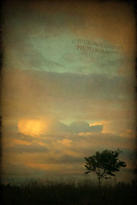 sunset green tree landscape photography clouds fine art