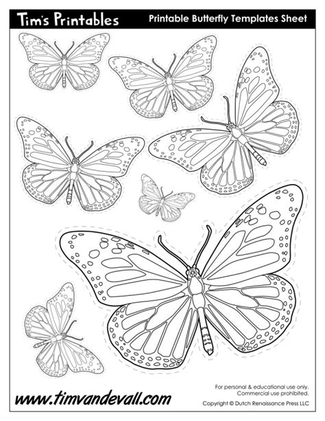 Butterfly Printables Tim S Printables